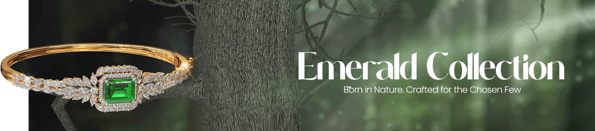 Jewellery Promotional Banner